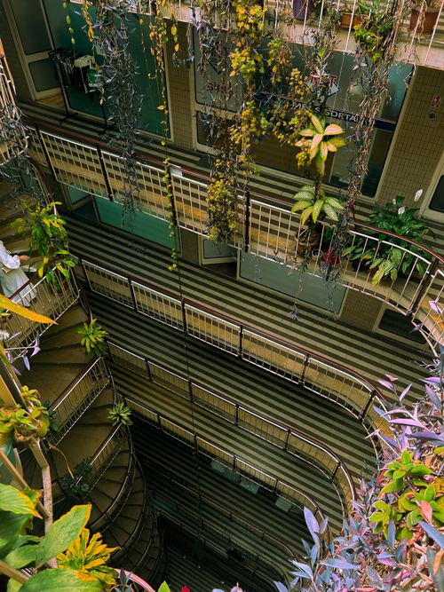 Free Vibrant greenery cascading in an apartment atrium with multiple floors. Stock Photo