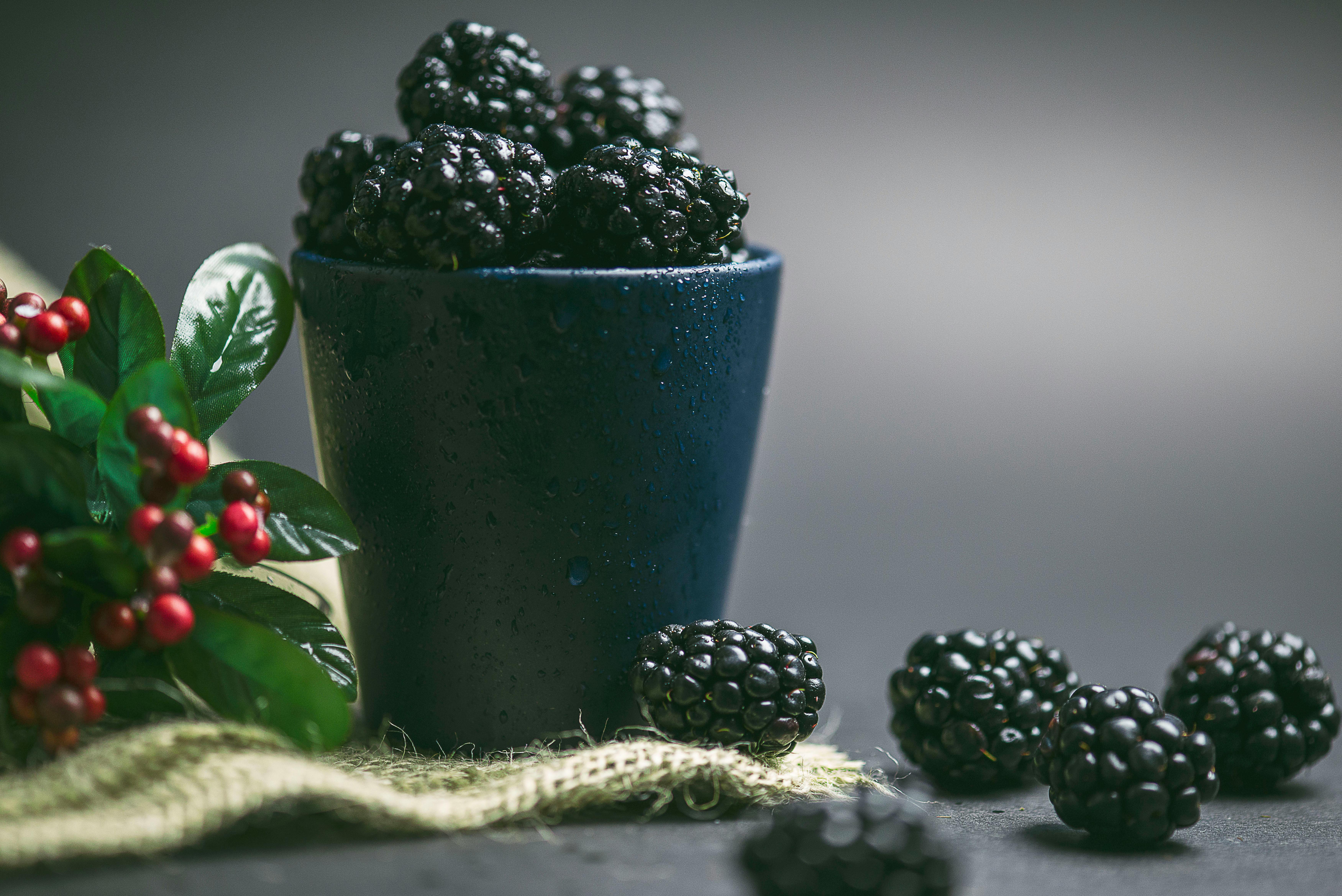 Free A ceramic cup filled with fresh blackberries, showcasing their freshness and vibrant color. Stock Photo
