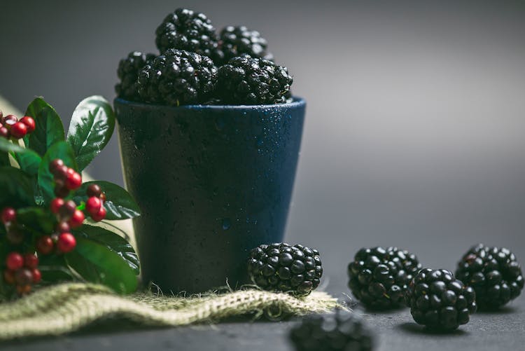 Round Black Fruits