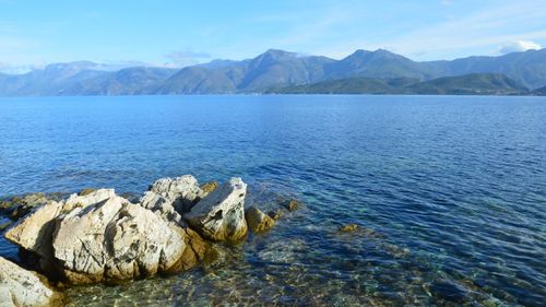 Free Breathtaking coastal view of Patrimonio, Corsica, featuring rocky shorelines and serene blue waters. Stock Photo