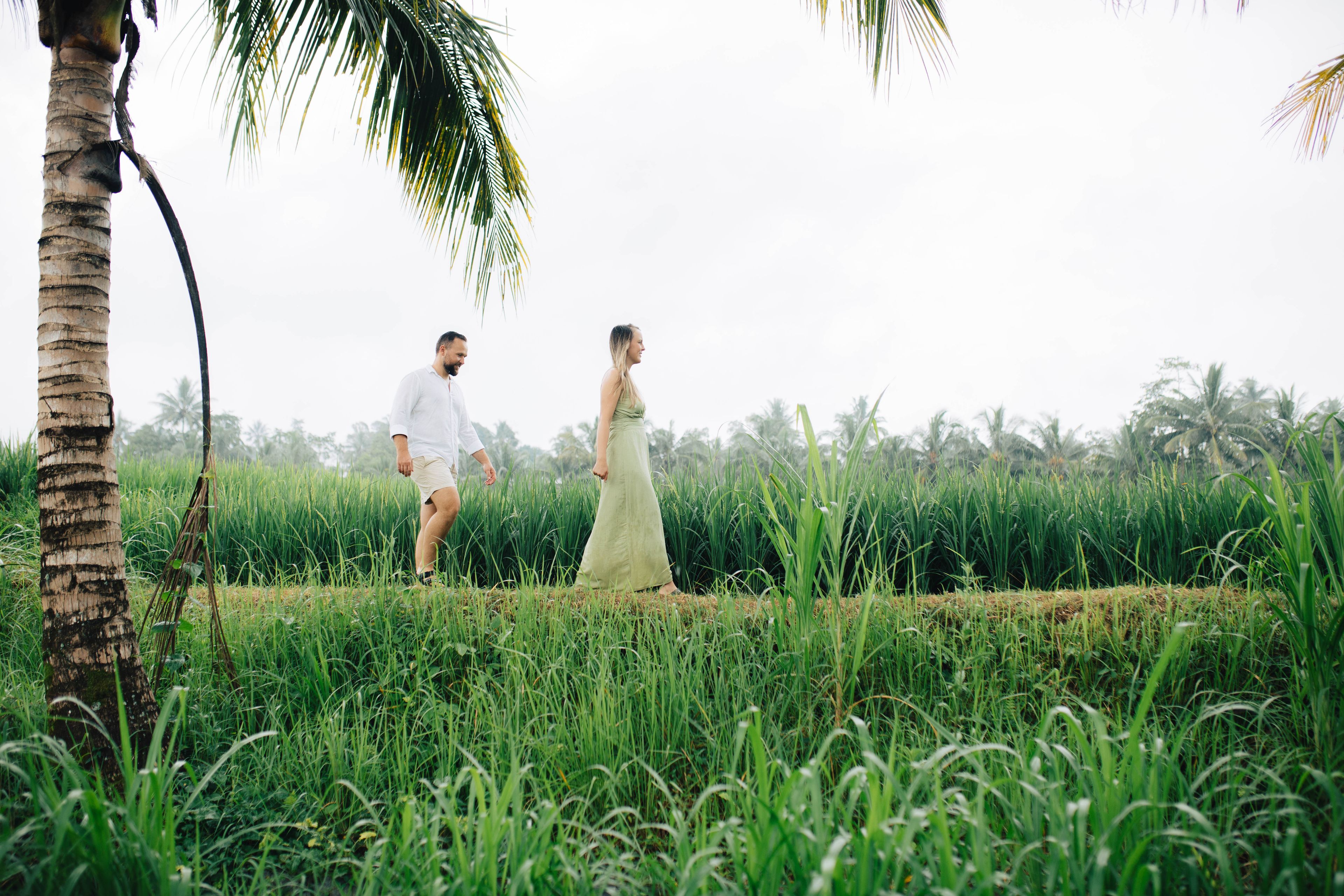 Campuhan Ridge Walk in Ubud at sunrise, a free highlight of a budget Bali itinerary
