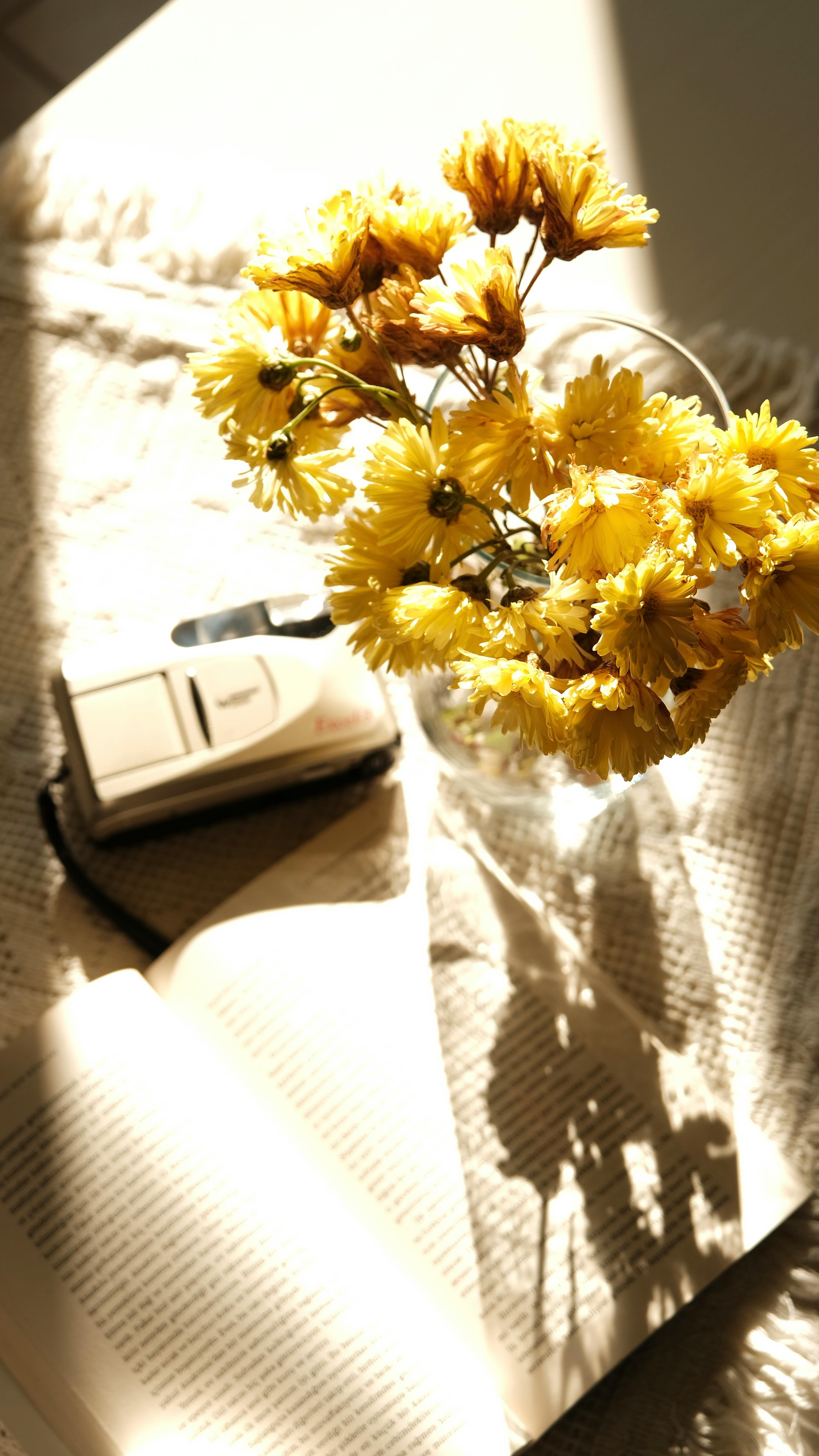 Miễn phí Ảnh lưu trữ miễn phí về #indoor, ấm cúng, ánh bình minh Ảnh lưu trữ