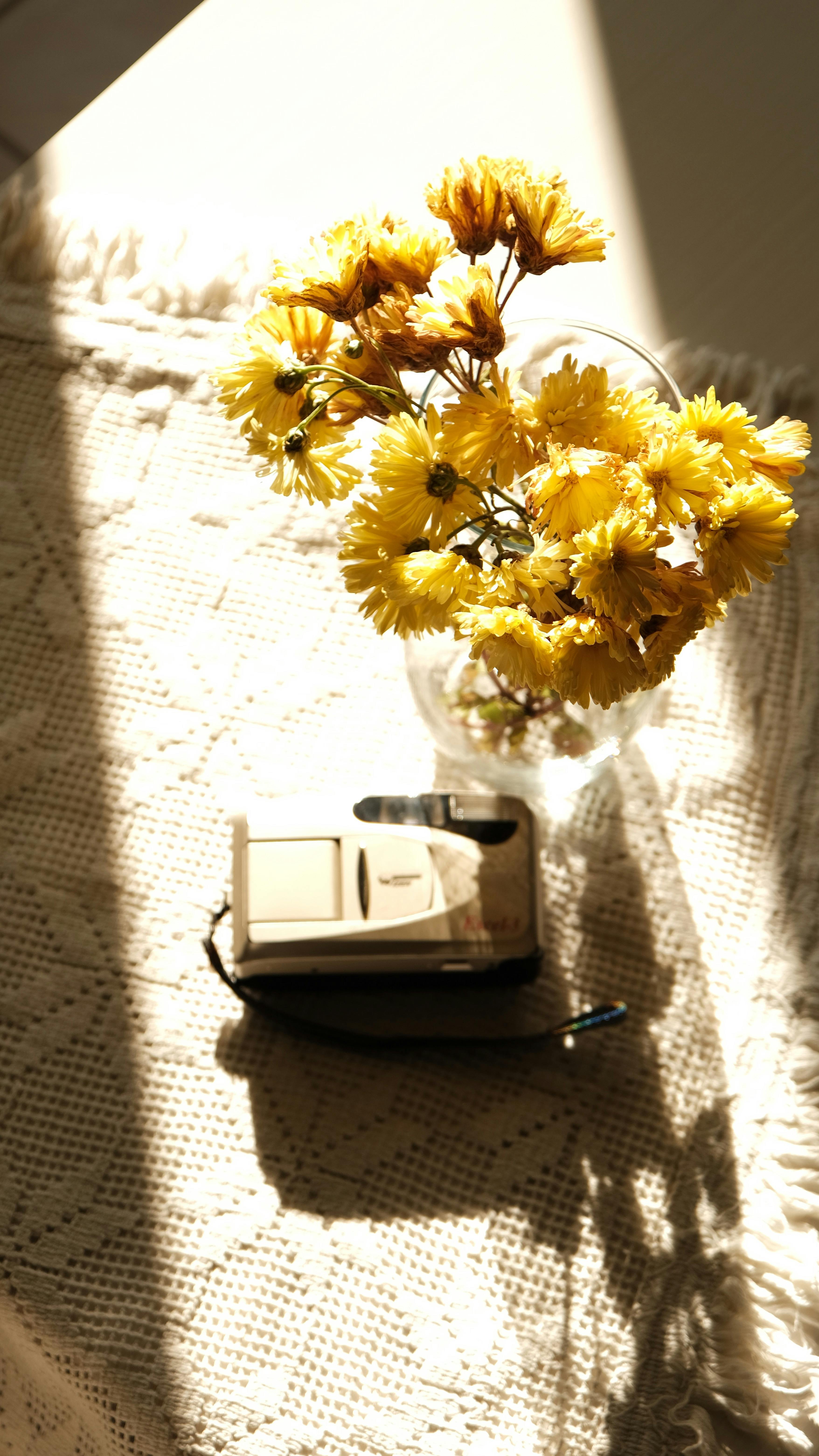 Kostnadsfria Ett nostalgiskt arrangemang av en vintagekamera bredvid gula blommor upplysta av varmt solljus. Stock foto