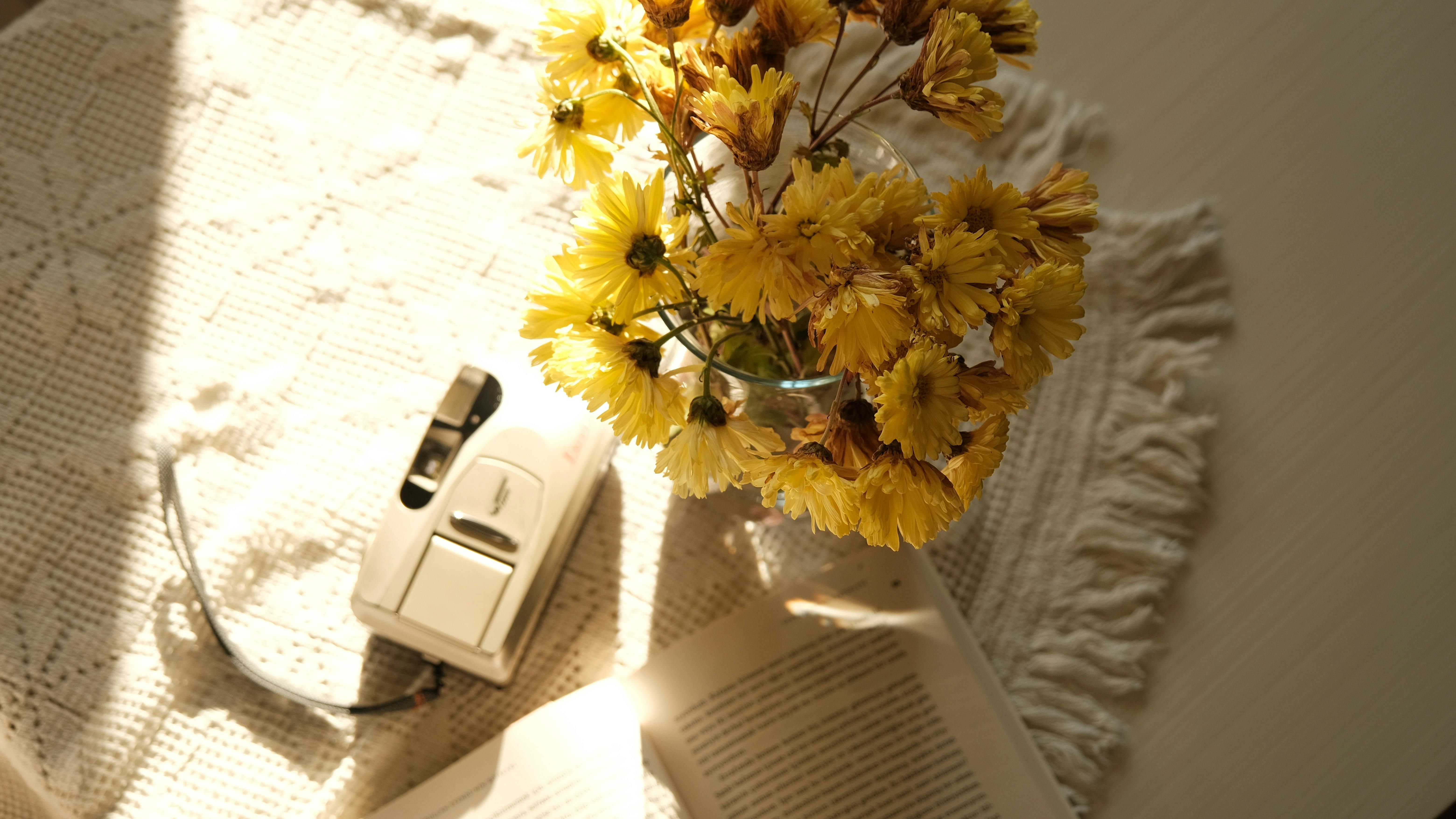 De franc Foto d'estoc gratuïta de acollidor, ambient tranquil, arranjament floral Foto d'estoc