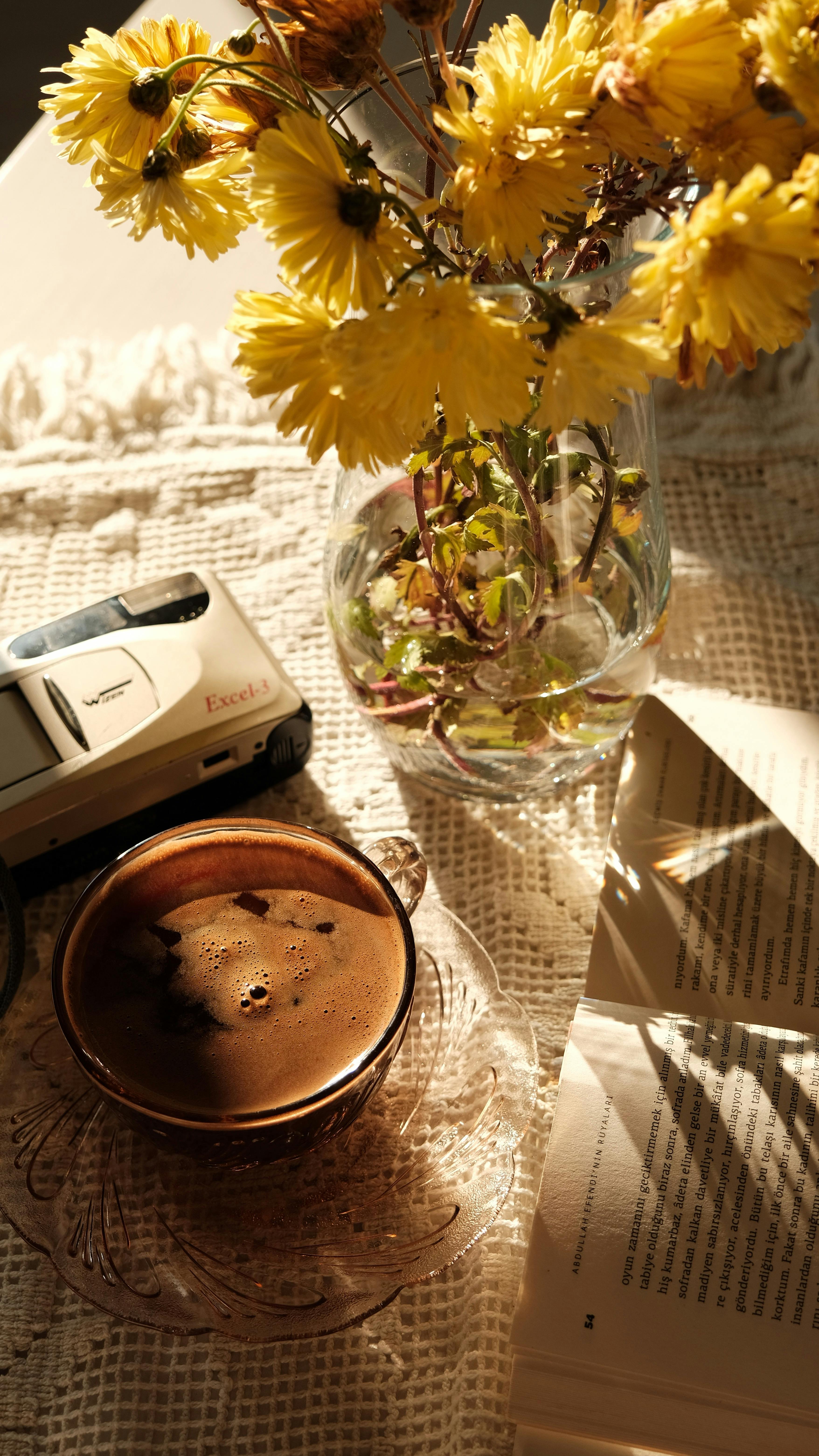 무료 가벼운, 가을, 구성의 무료 스톡 사진