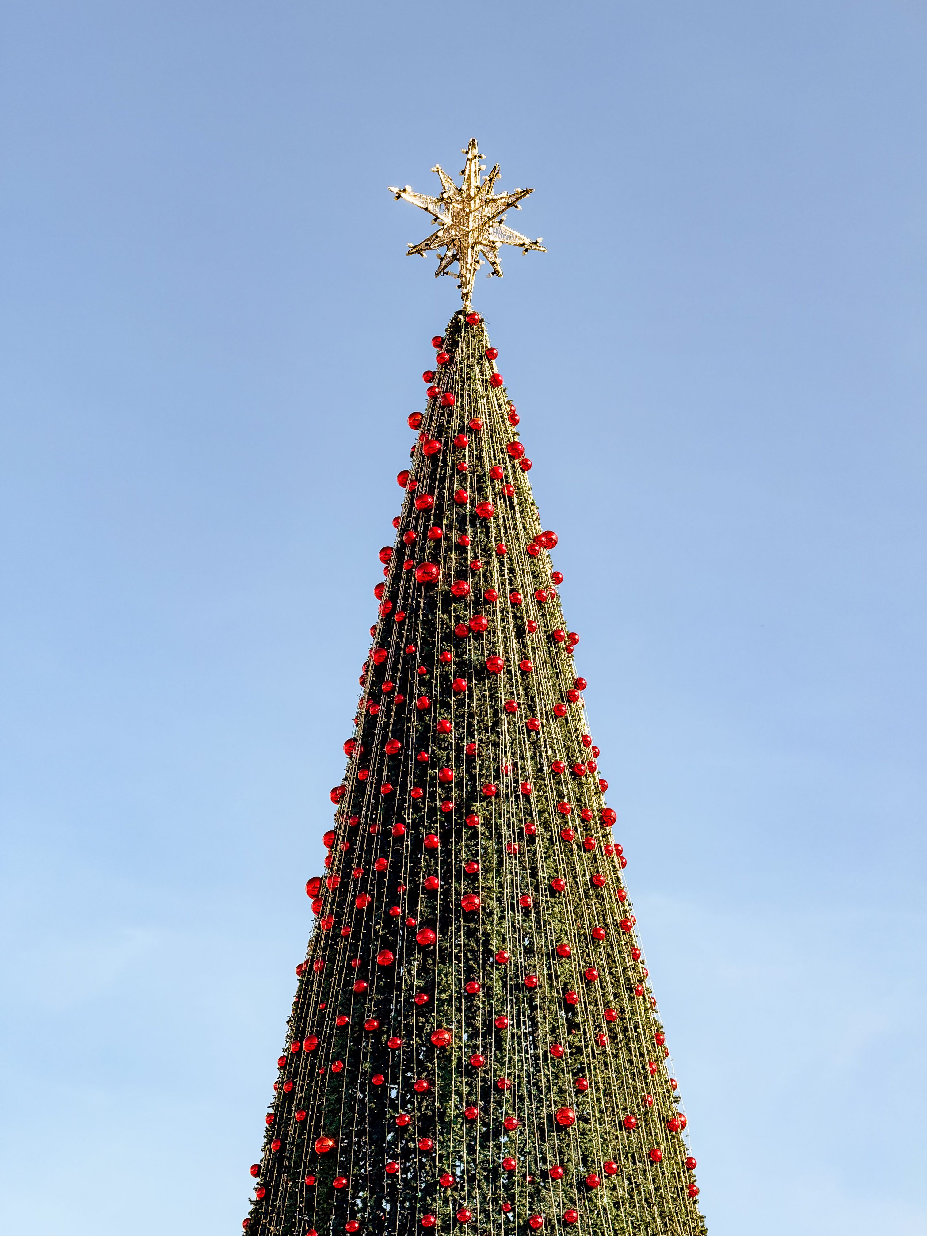 Foto de stock gratuita sobre adorno de estrella, adornos rojos, aire ...