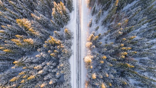 Аэрофотосъемка дороги в лесу