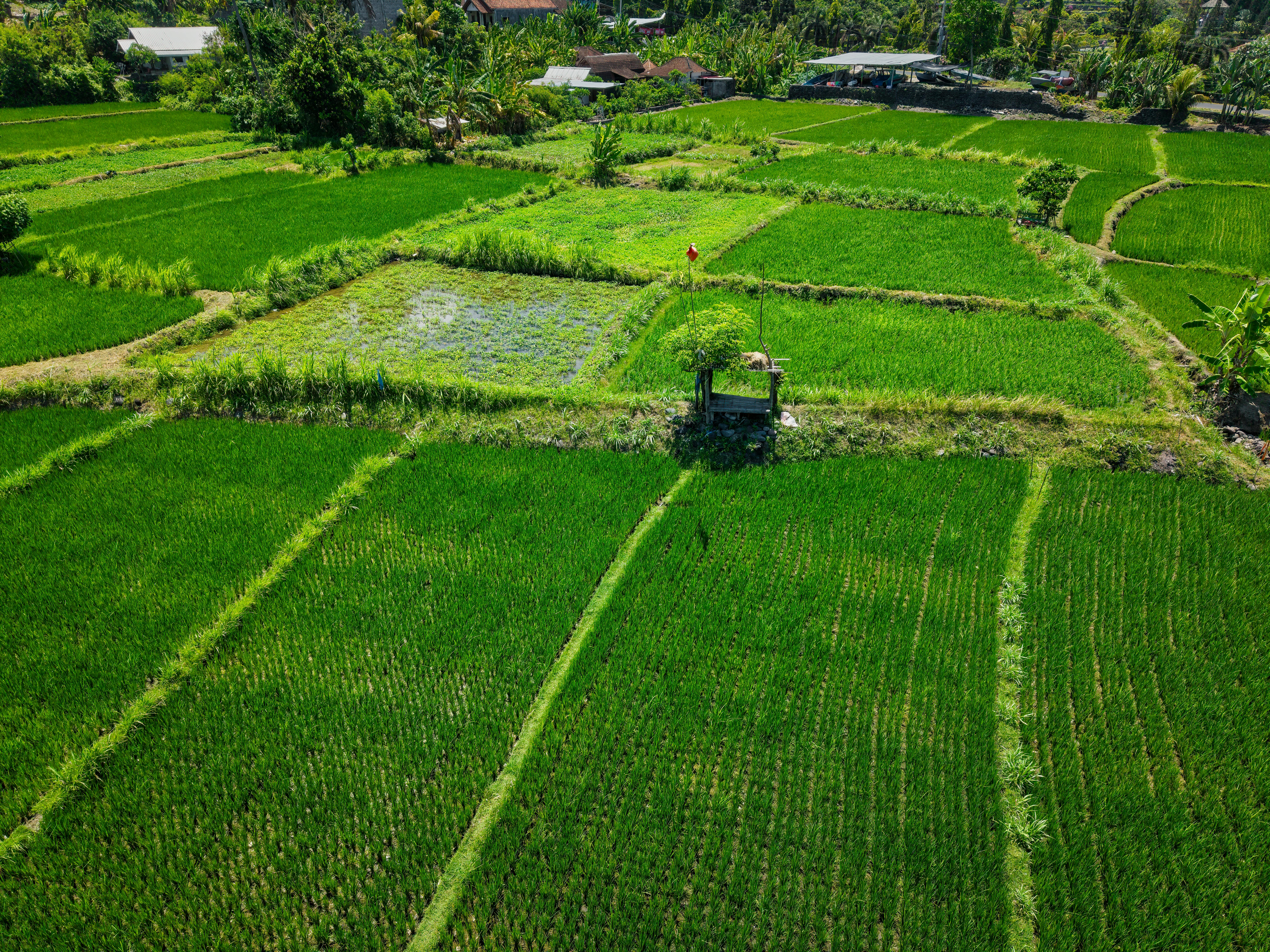 Innovations in Sustainable Sourcing: A Green Energy Case Study