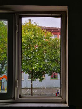 View of a rain-soaked street and lush green tree from inside a window.