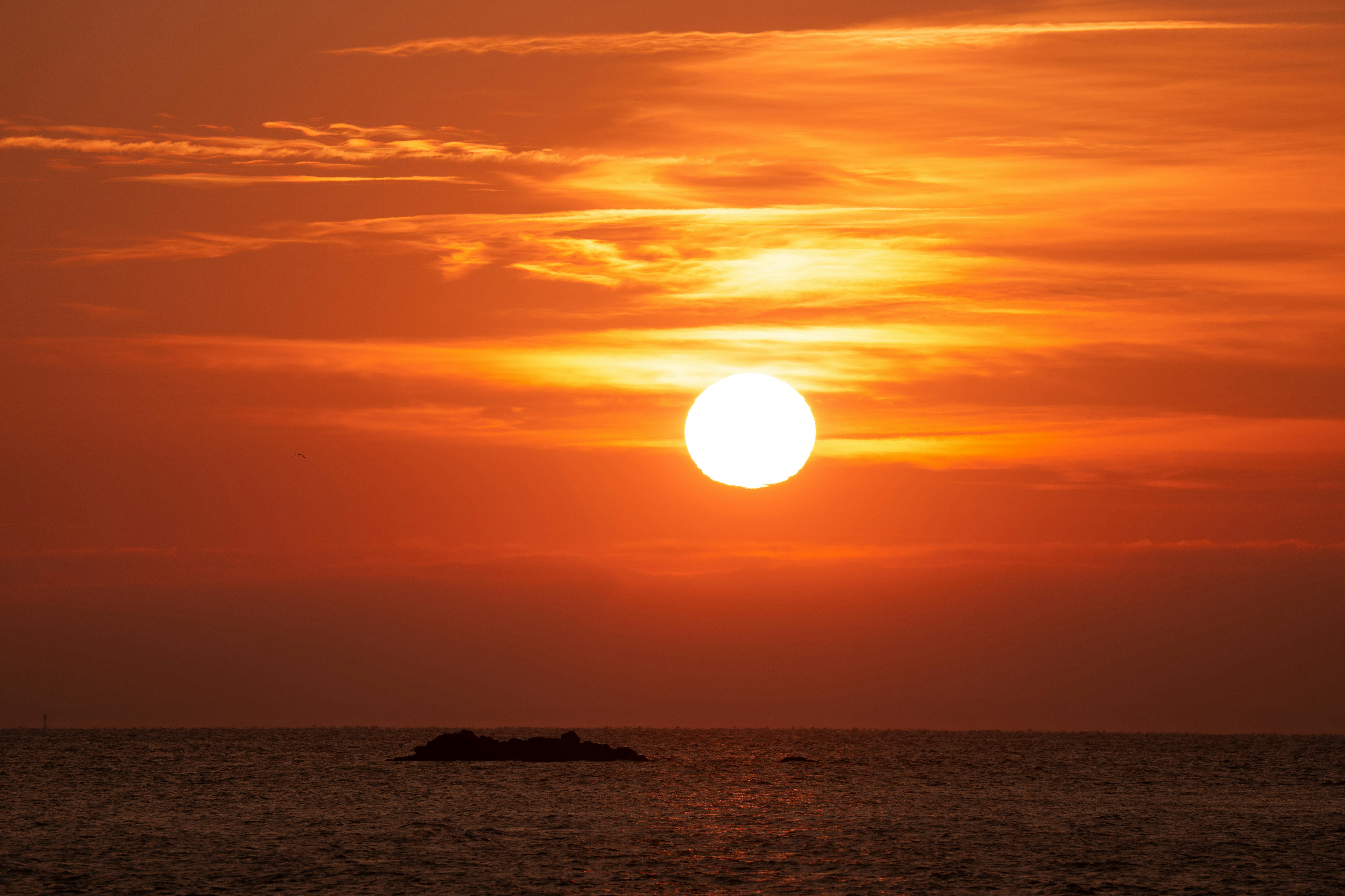 Exclusive Access: How to Secure Early Entry to Events and Opportunities