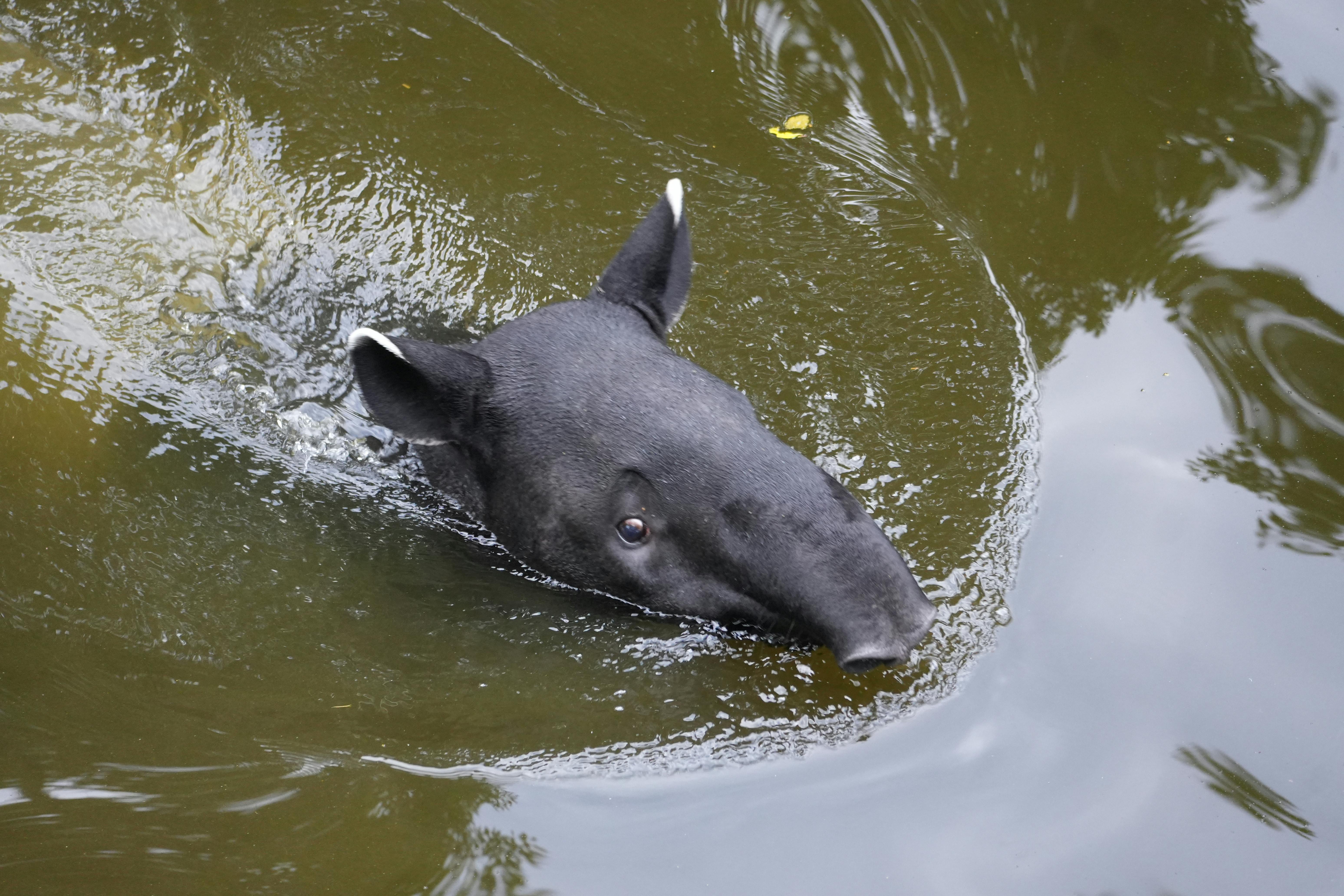 Water Conservation Tips: Practical Ways to Save Water