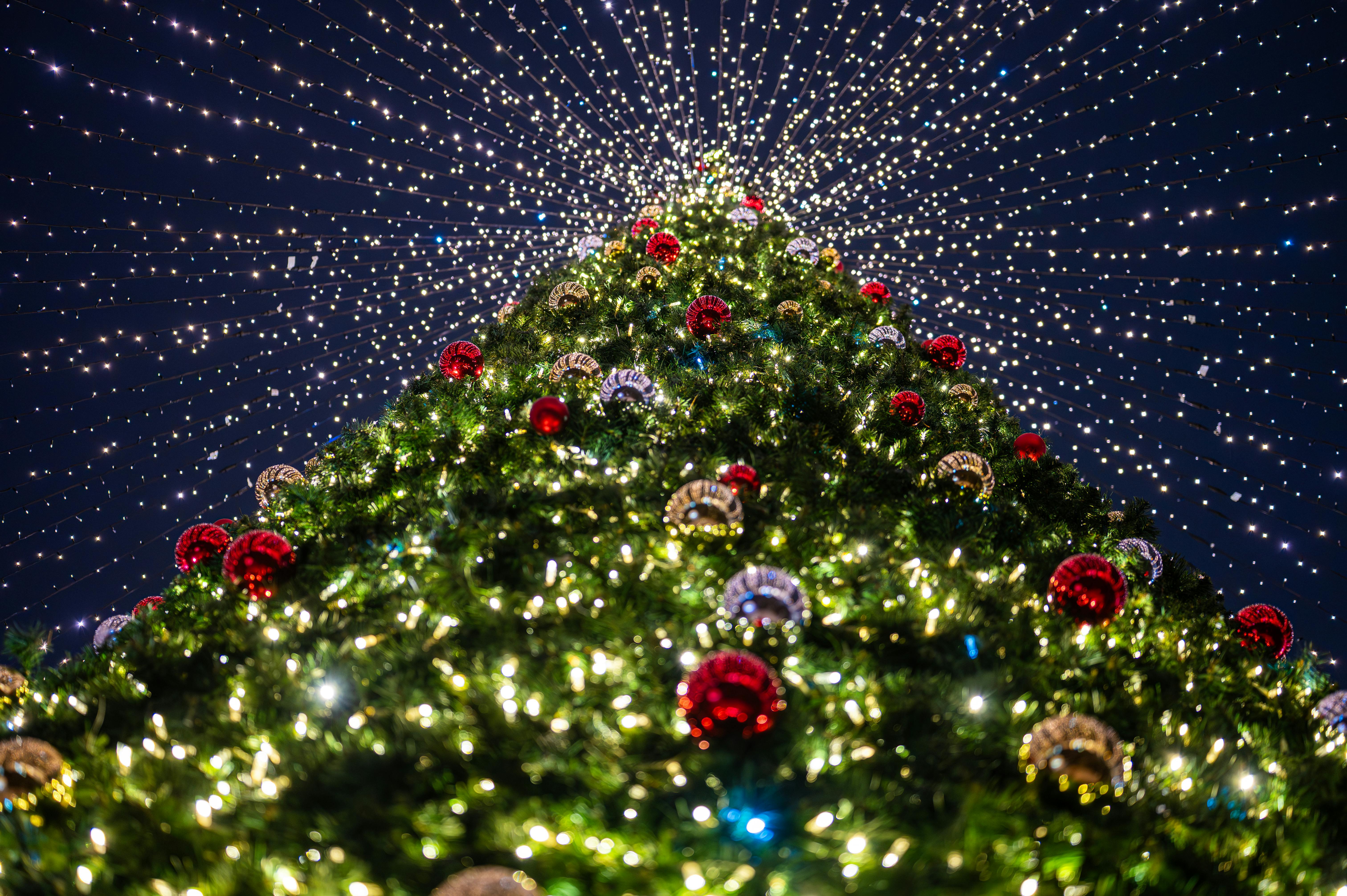 funny christmas wifi names festive holiday ssid ideas