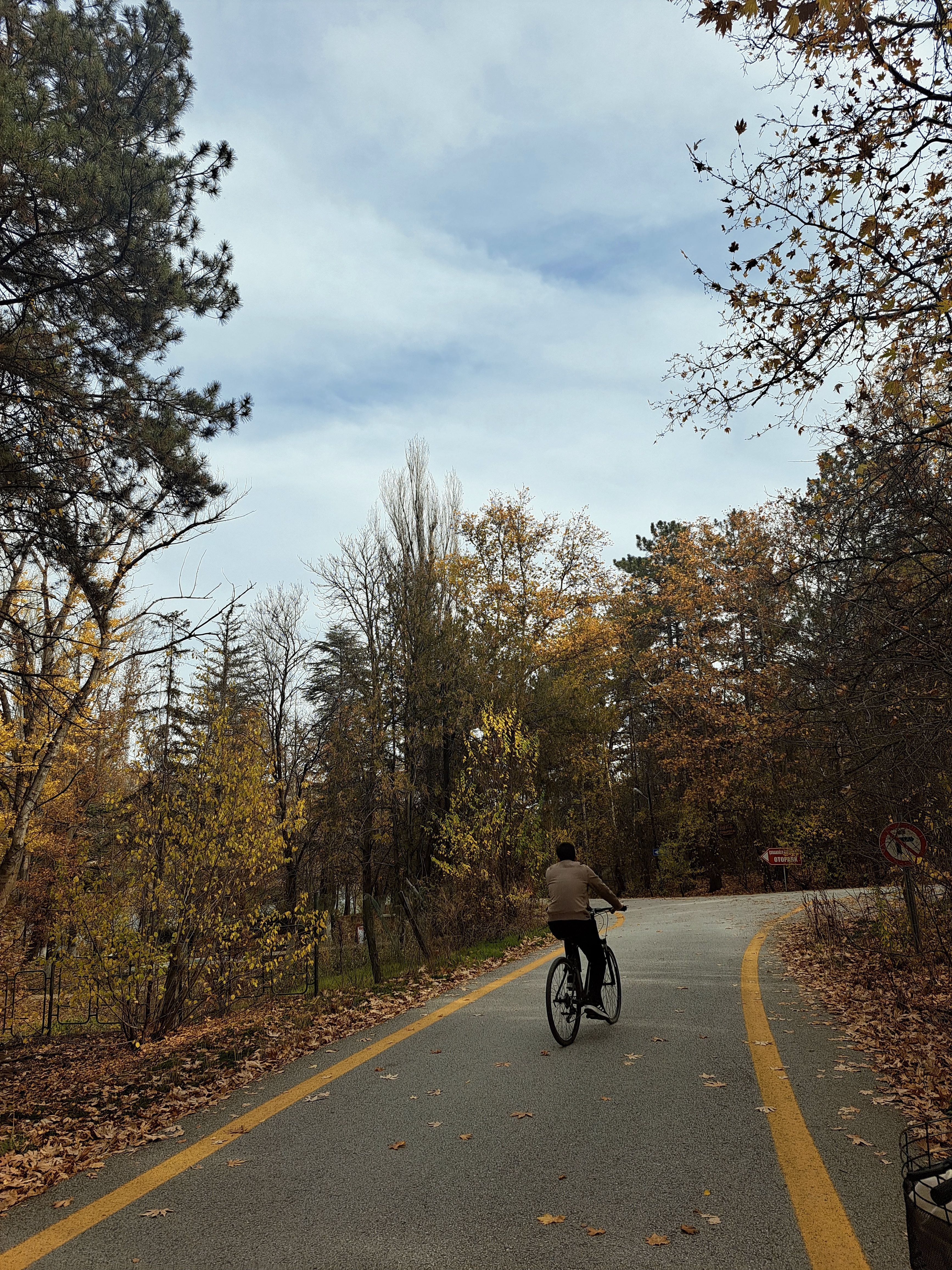 A lone cyclist enjoys a peaceful ride through an autumn forest pathway.