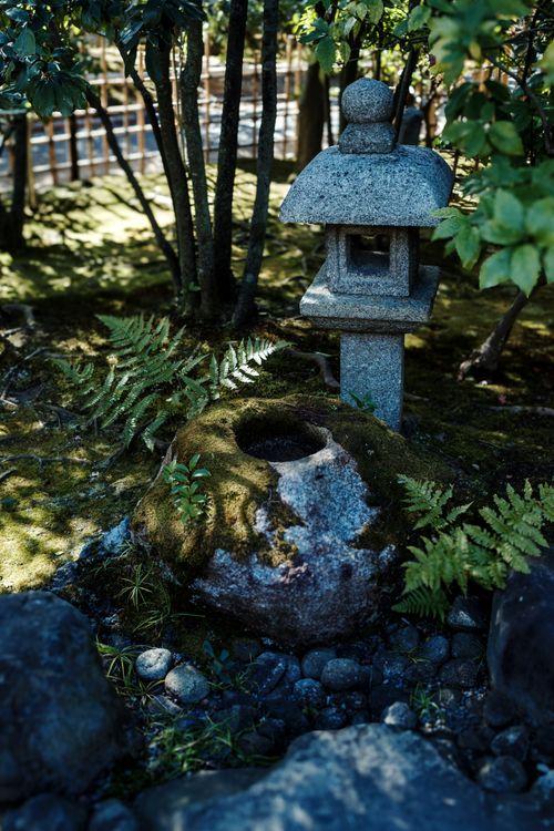 Free Peaceful Japanese garden scene featuring a stone lantern and lush greenery. Stock Photo
