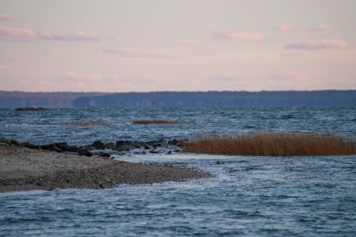 Free Tranquil seaside view with grassy shoreline and calm waters at sunset. Stock Photo
