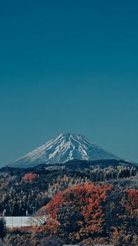 Captivating view of Mt. Fuji framed by colorful fall foliage. Perfect blend of nature's beauty.