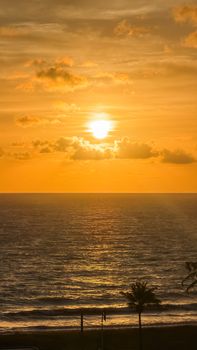 Golden sunset over the Atlantic Ocean with palm trees silhouetted in Paraíba, Brazil.