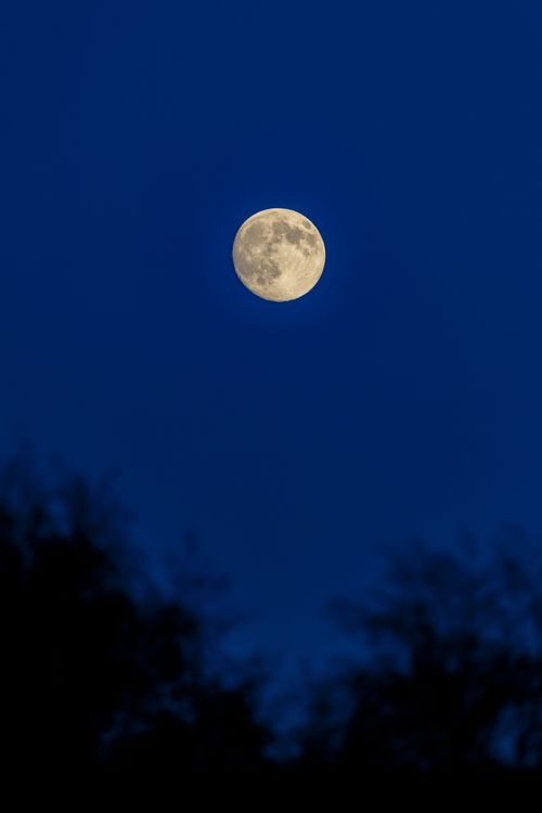 Full Moon in a Clear Night Sky over London · Free Stock Photo