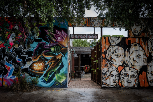 Wynwood street art walk — Miami