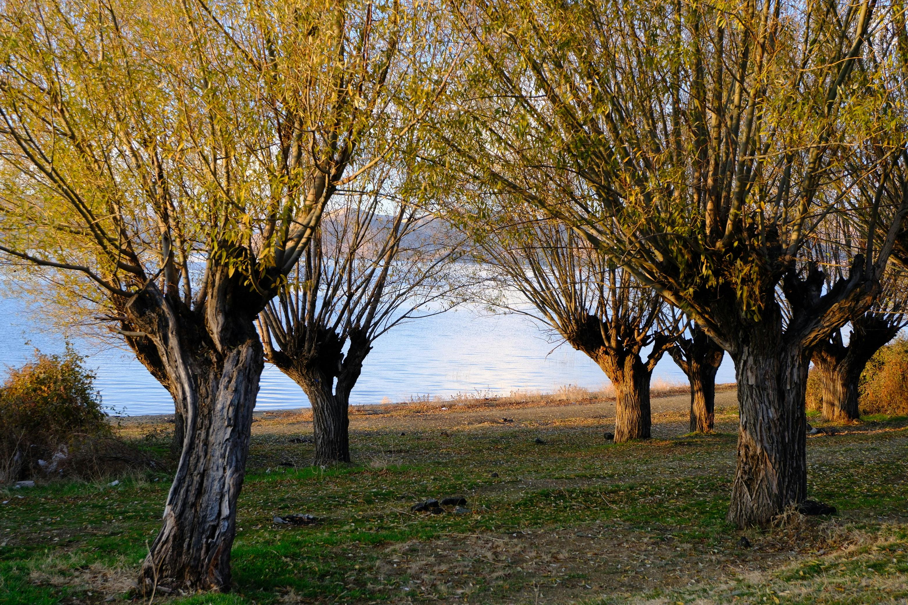grátis Foto profissional grátis de água, amigo do ambiente, ao ar livre Foto profissional