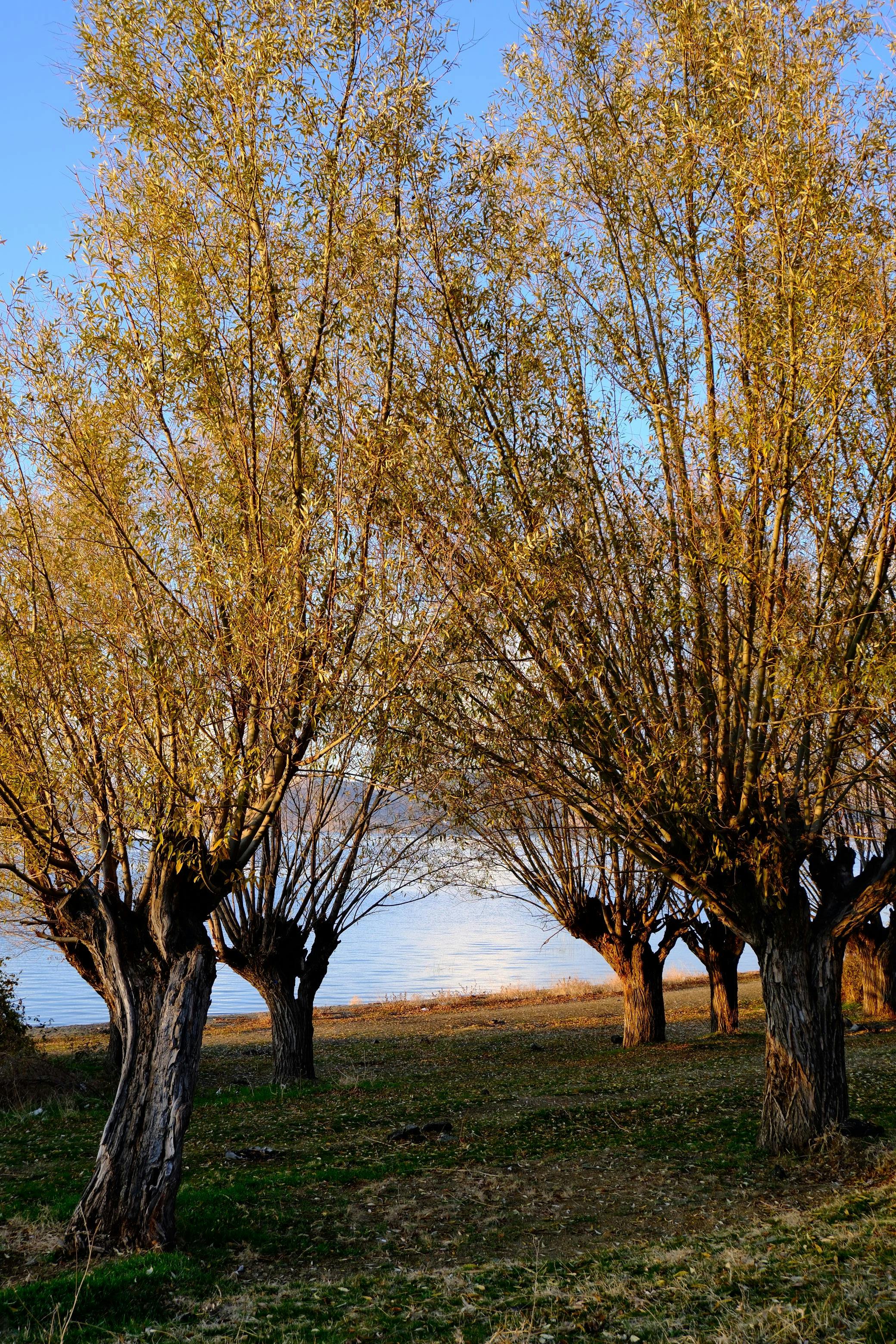 Kostenlos Kostenloses Stock Foto zu abend, abendlicht, asien Stock-Foto