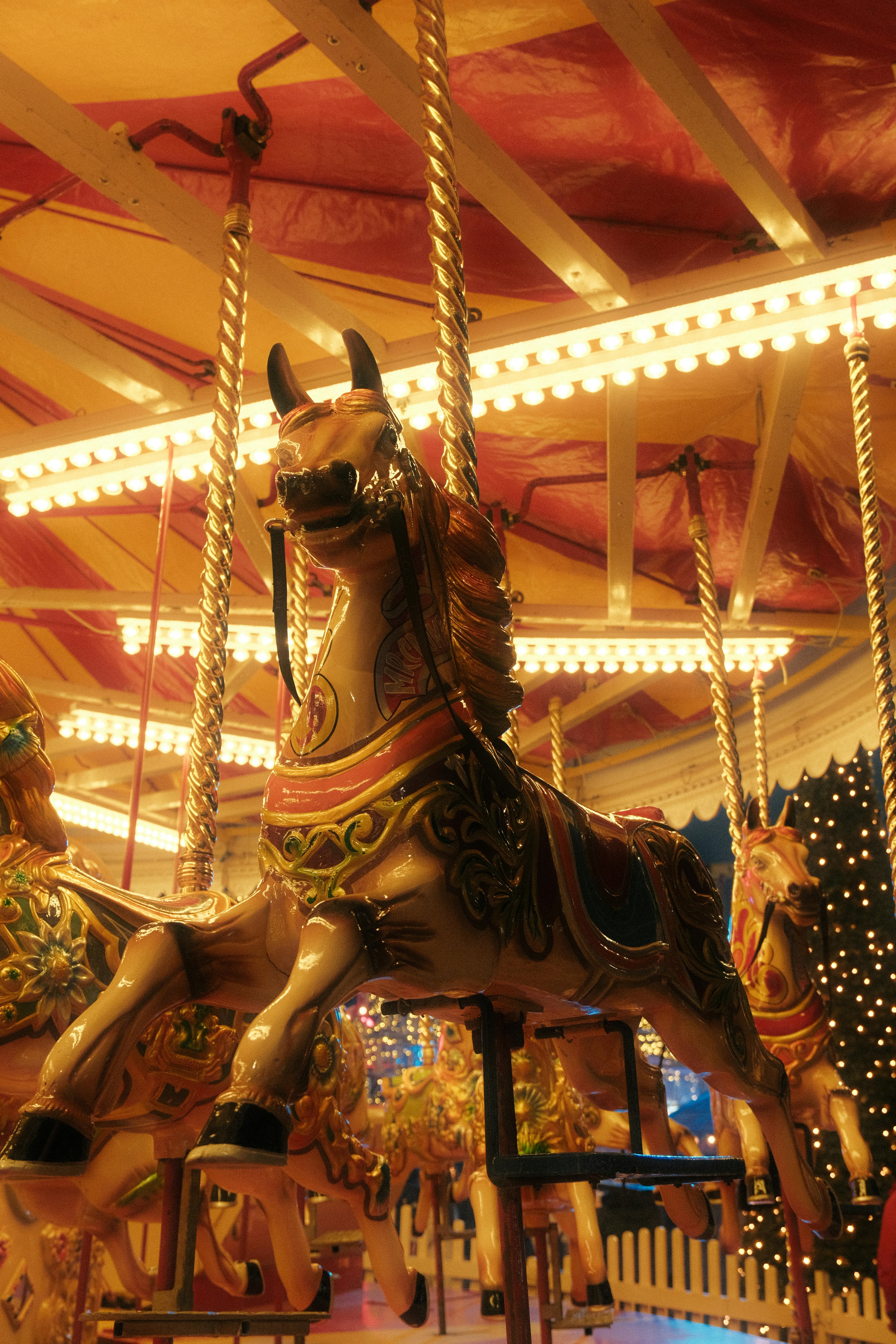 Free stock photo of adventure, amusement, amusing