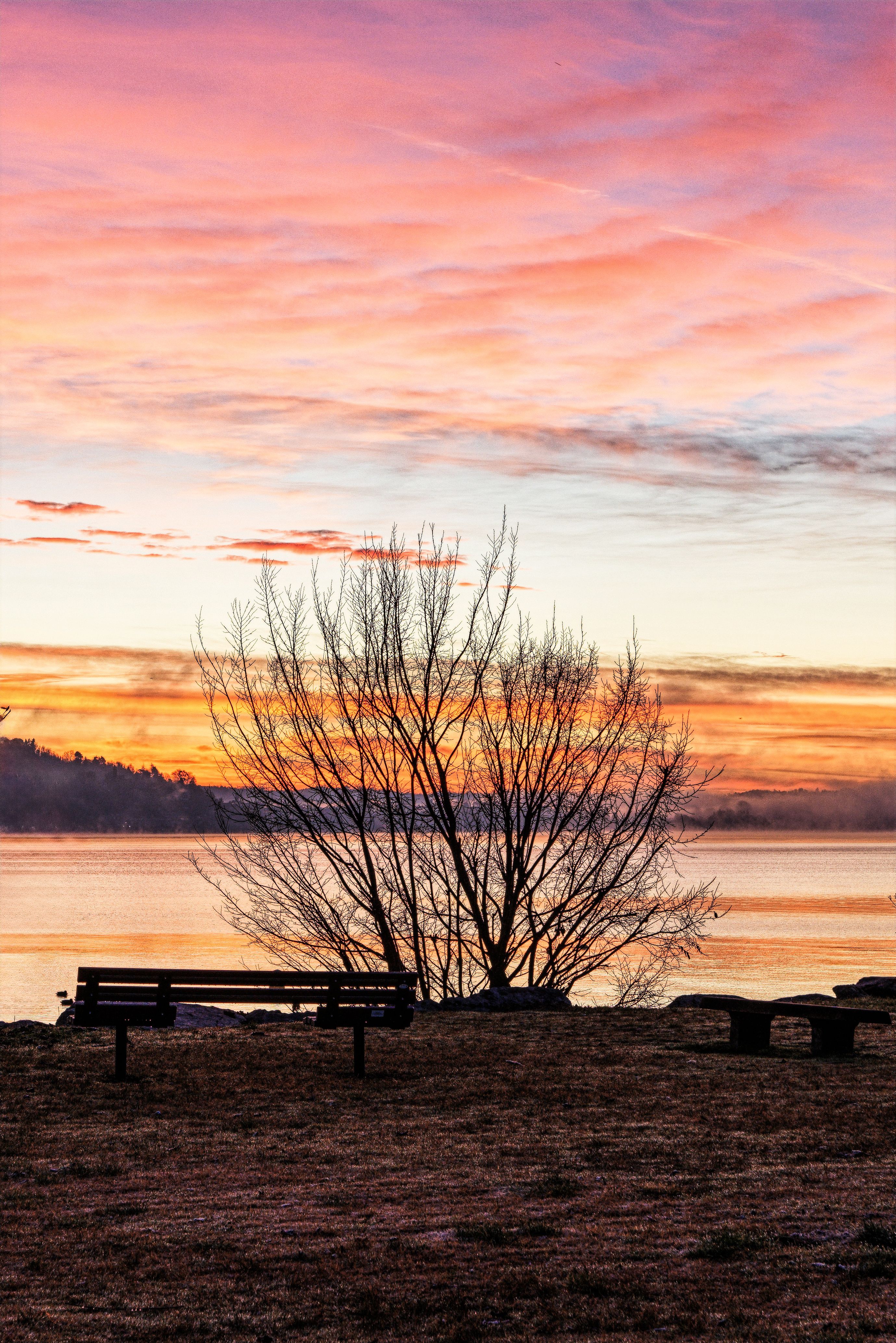 Serene Lakeside Sunrise with Vibrant Sky · Free Stock Photo