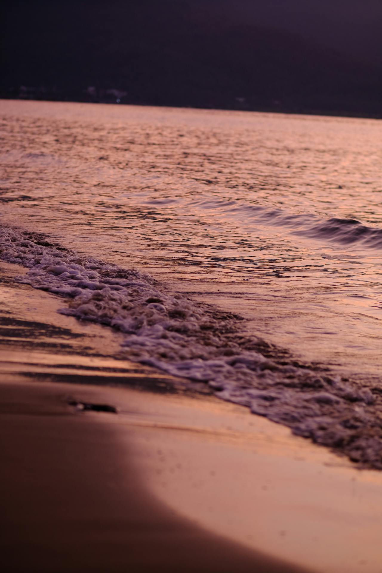 Thám tử lừng danh Conan | Chương 0831