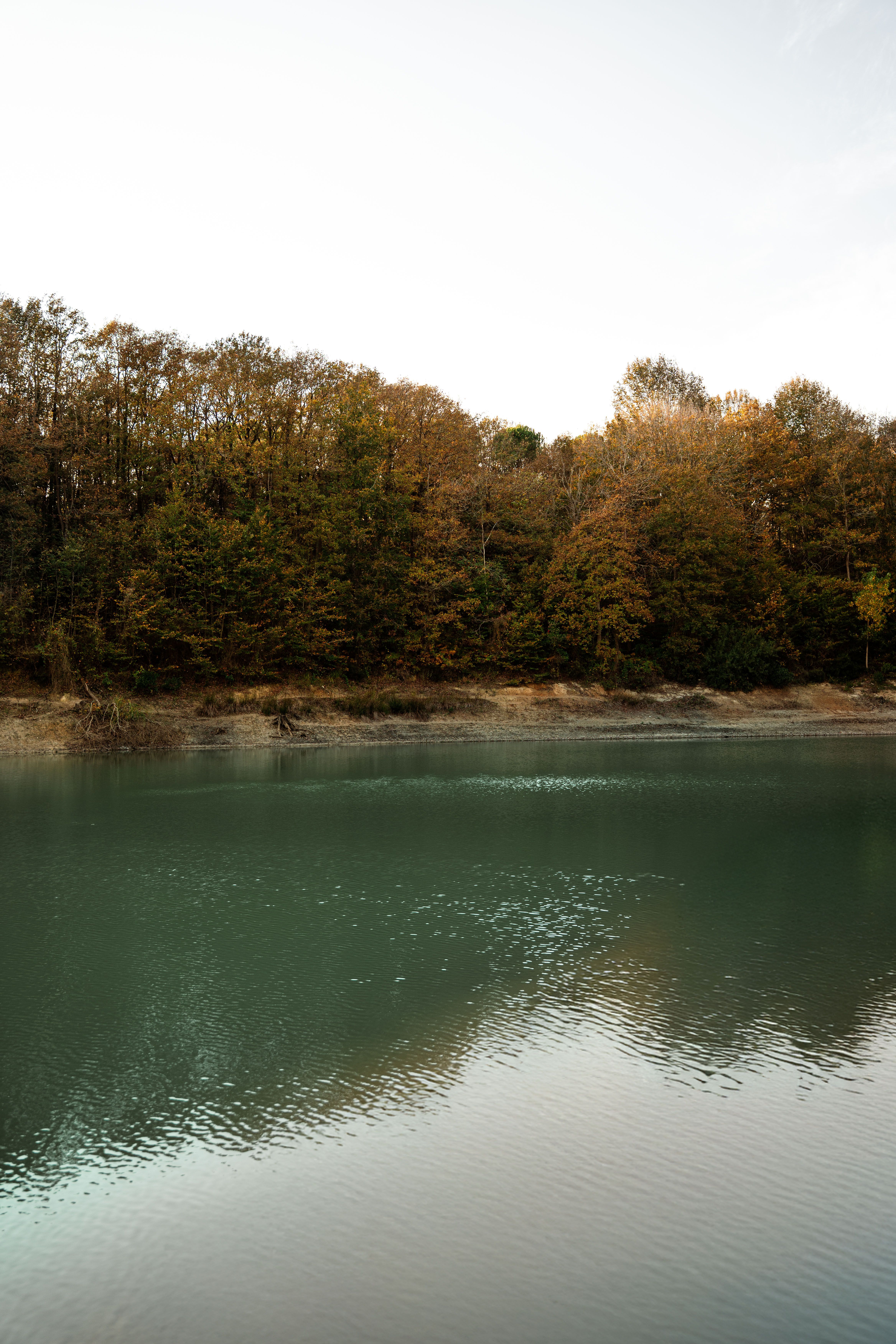 Serene Autumn Lake with Reflective Waters · Free Stock Photo