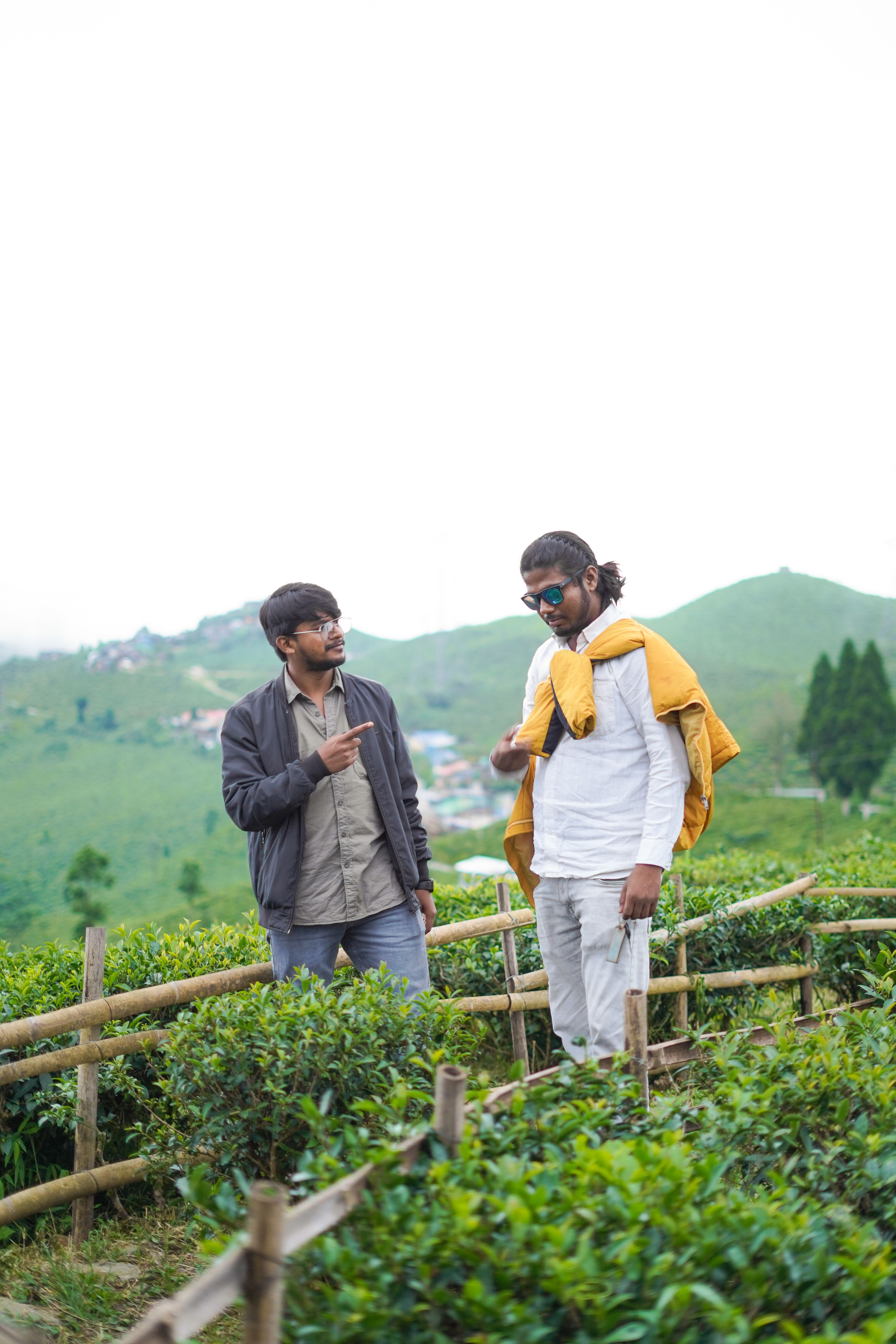 A traveler sipping tea at a picturesque tea estate