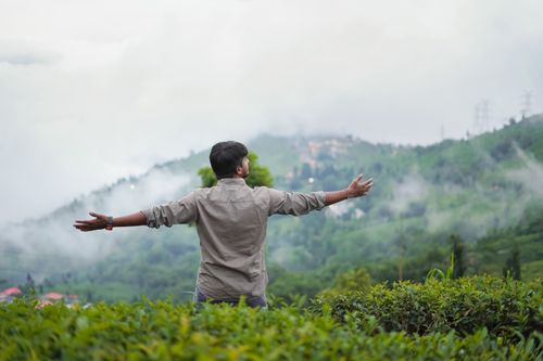 Free A man embraces the misty, serene landscape of a lush tea plantation. Stock Photo