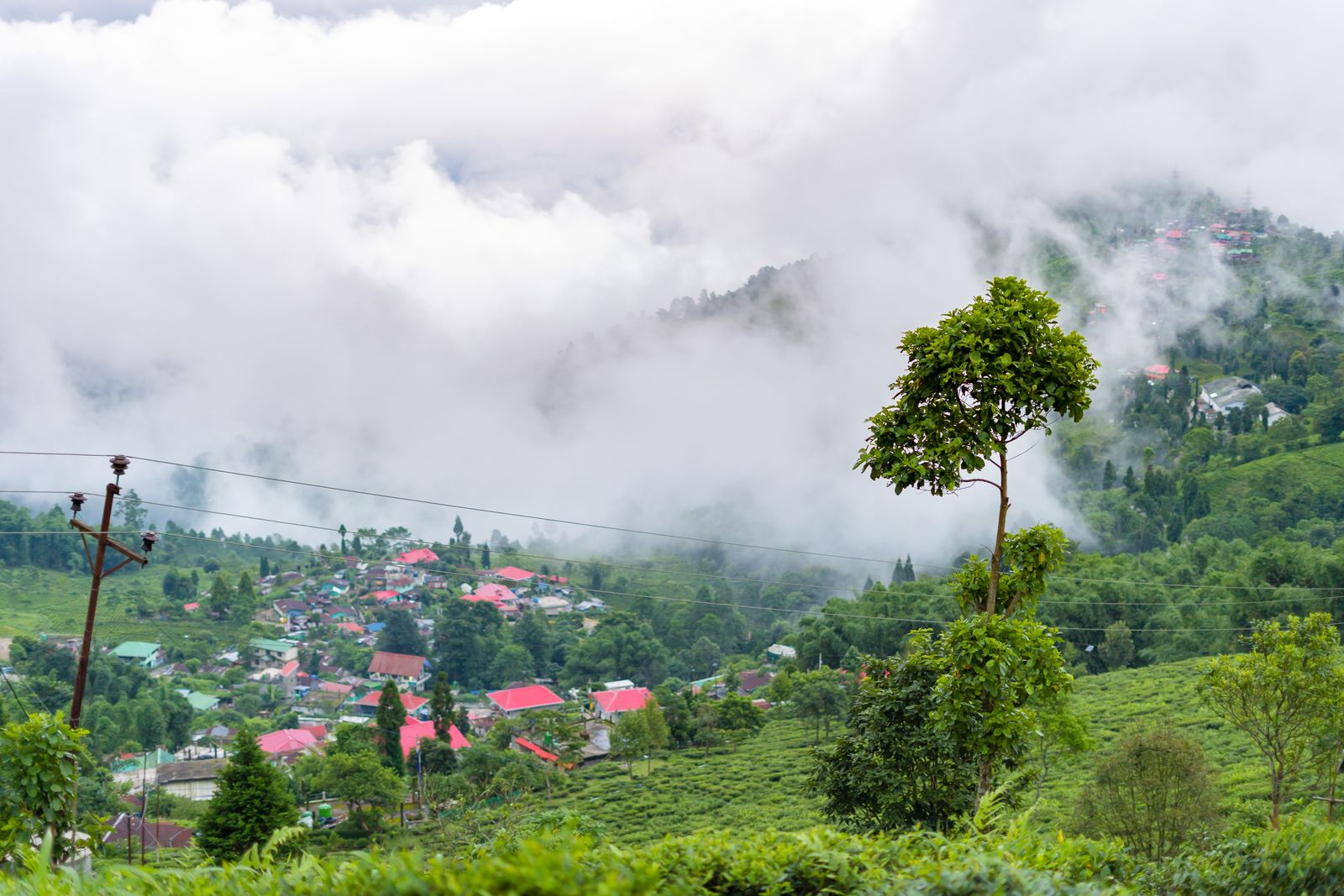 Tea slopes above a village of red roofed houses with cloud pouring over the ridge in the Darjeeling hills