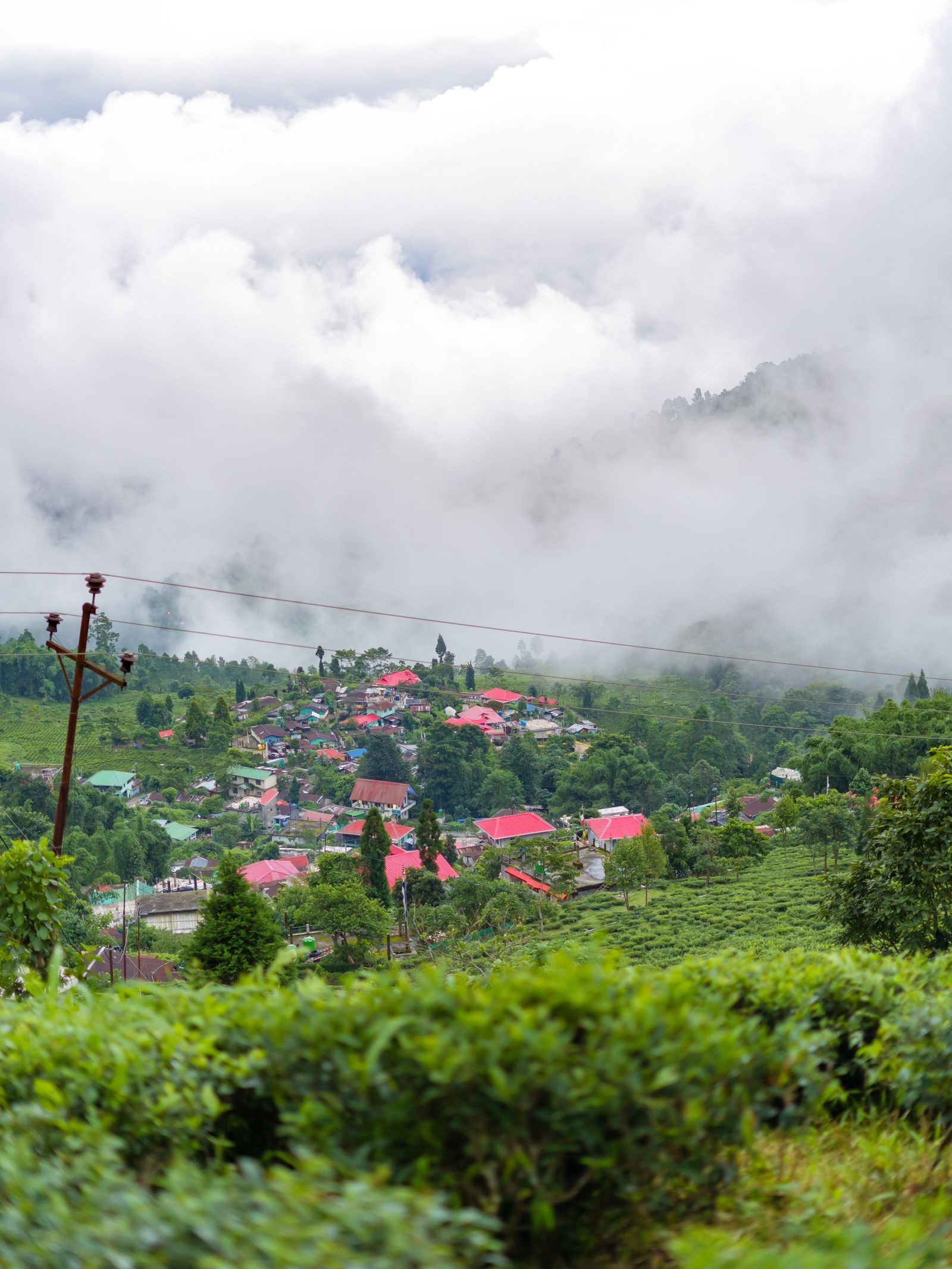 A village of red roofs among tea slopes in the Darjeeling hills, monsoon cloud pouring over the ridge above