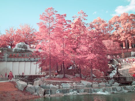 Free stock photo of city activity, city park, columbia