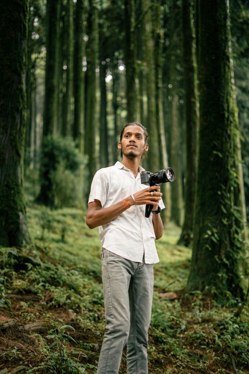 Free A photographer captures the lush green forest of Darjeeling with towering trees. Stock Photo