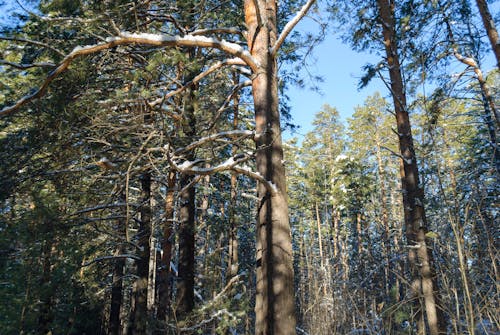Why Winter Air Feels “Thicker” When You Walk Fast — The Physics of Cold Resistance