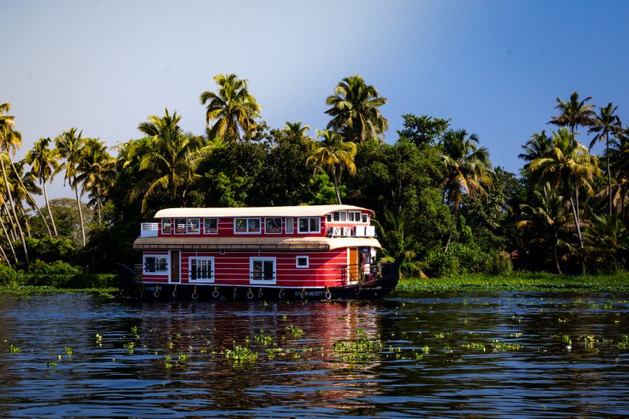 Alleppey (Backwaters) photo 3