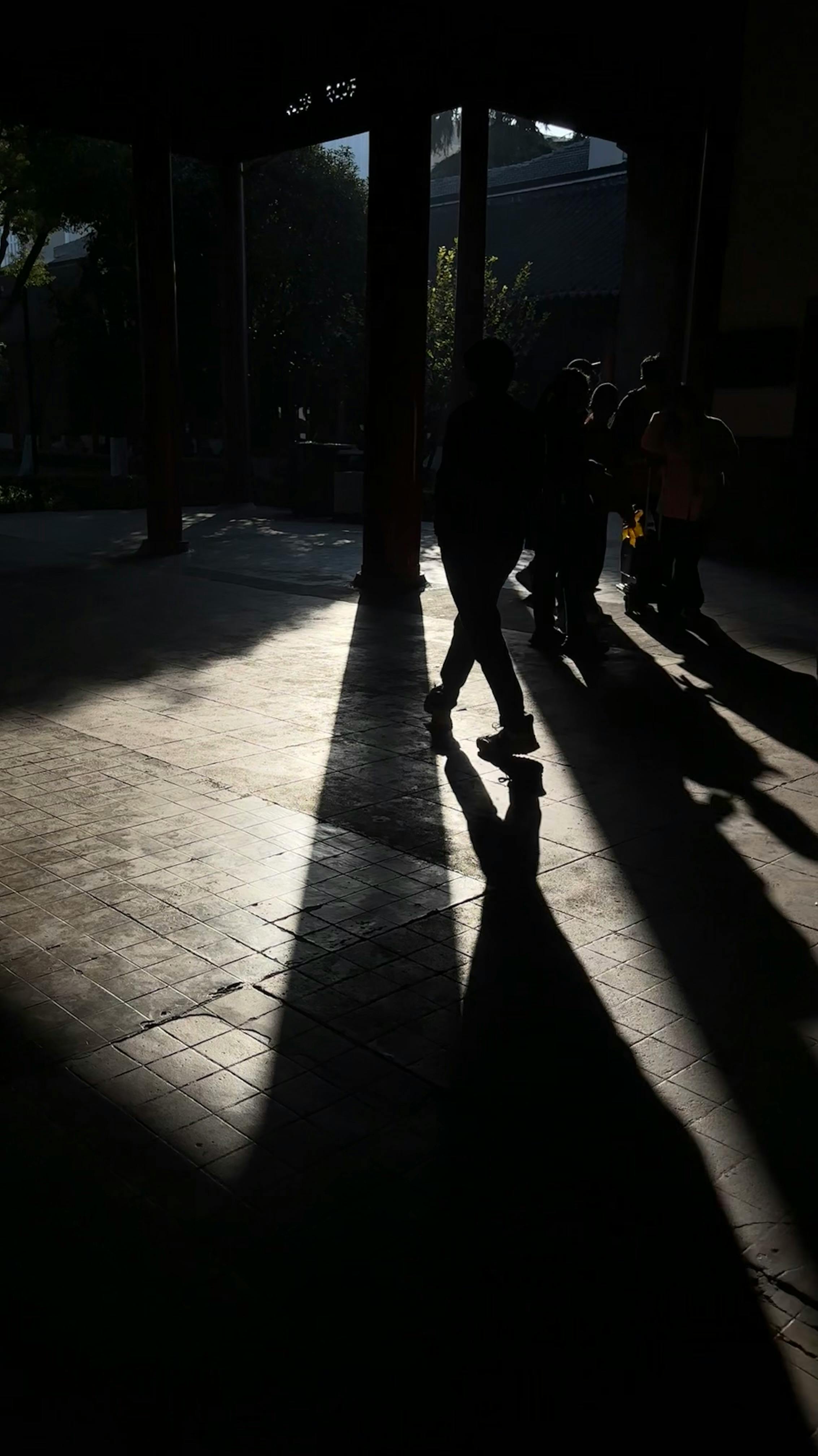 Backlight Irregular Shaped Object Photos, Download The BEST Free ...