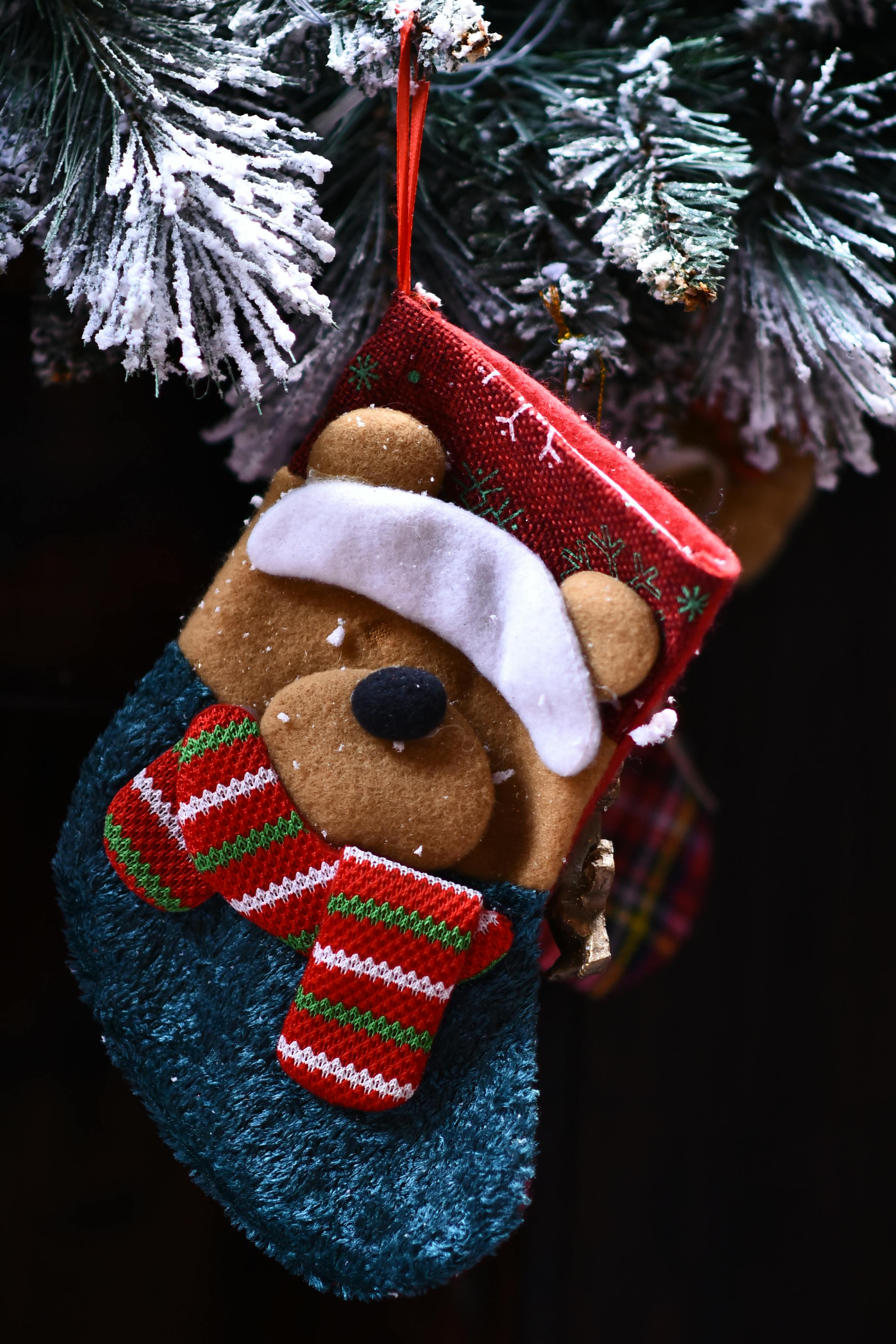 Bear Greg - Eon 03 Legacy