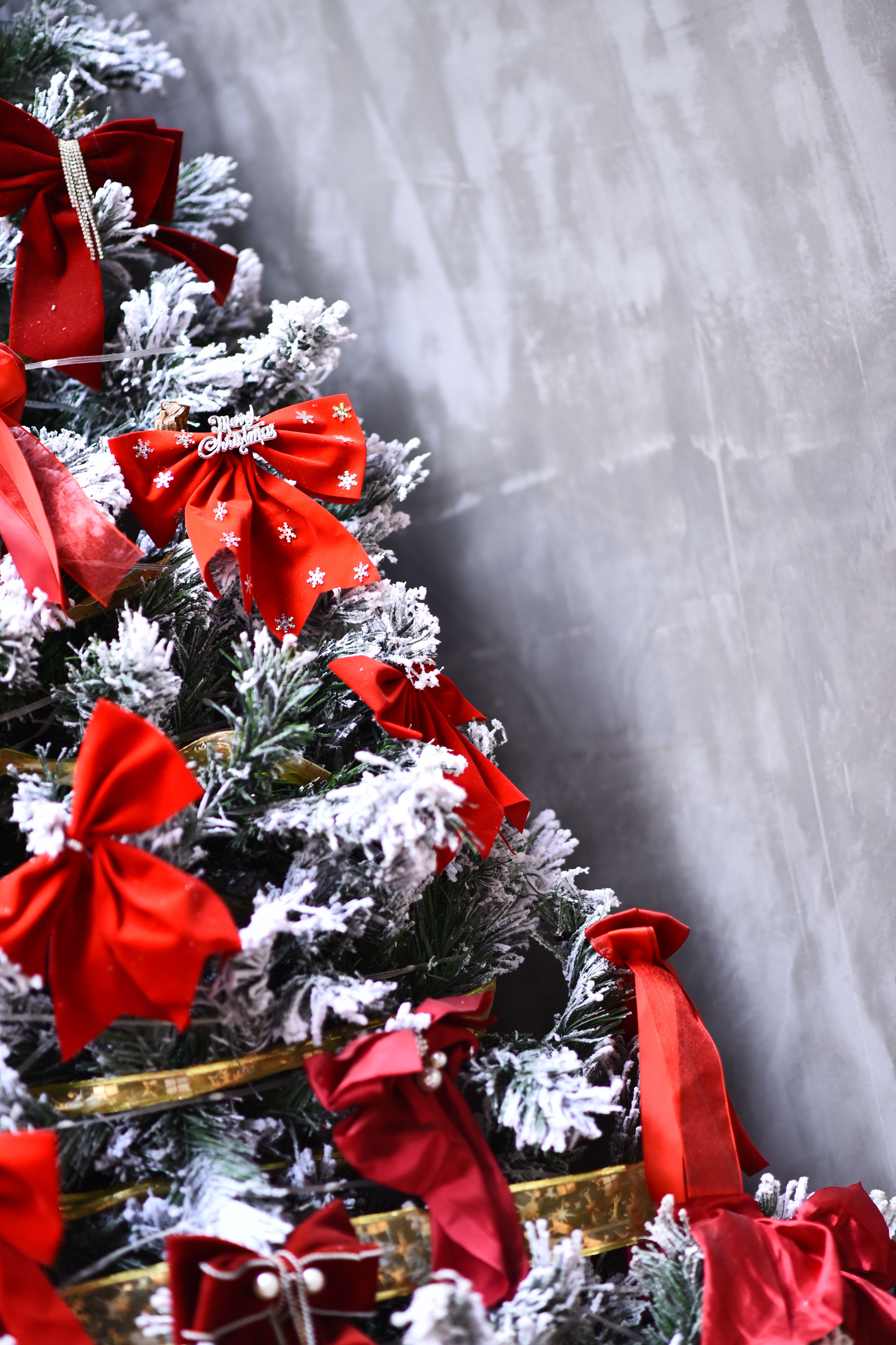 Festive Christmas Tree with Red Bows and Snow Frosting · Free Stock Photo