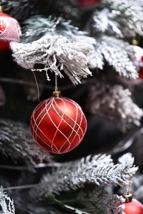 Free Red Christmas ornament hanging on a snow-covered tree branch, symbolizing holiday cheer. Stock Photo