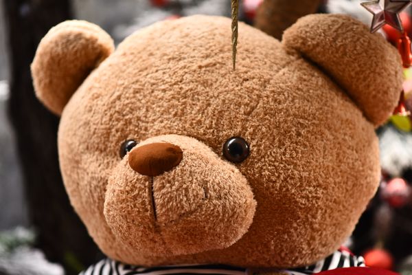 Festive Plush Advent Toy