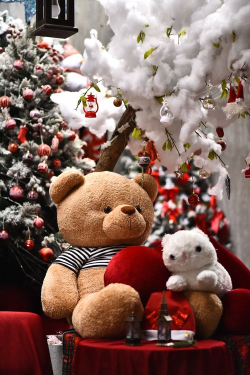 Free Large teddy bears in a snowy Christmas setting, surrounded by festive decorations. Stock Photo