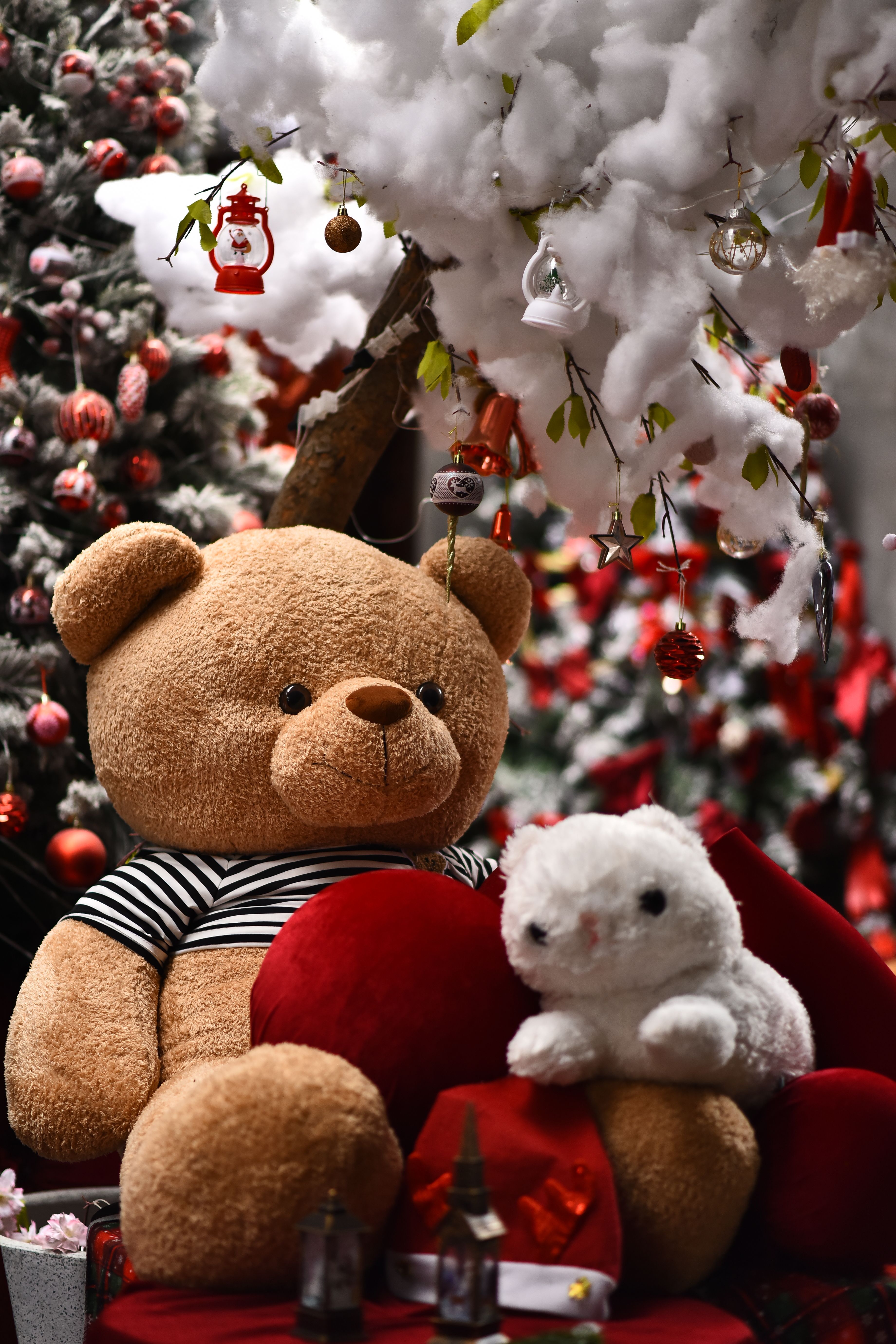 Festive Teddy Bear and Plush Rabbit Scene · Free Stock Photo — free download