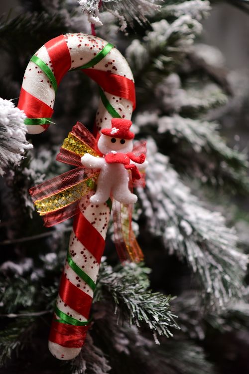 Free Candy cane ornament on a frosty Christmas tree, creating a festive holiday atmosphere. Stock Photo