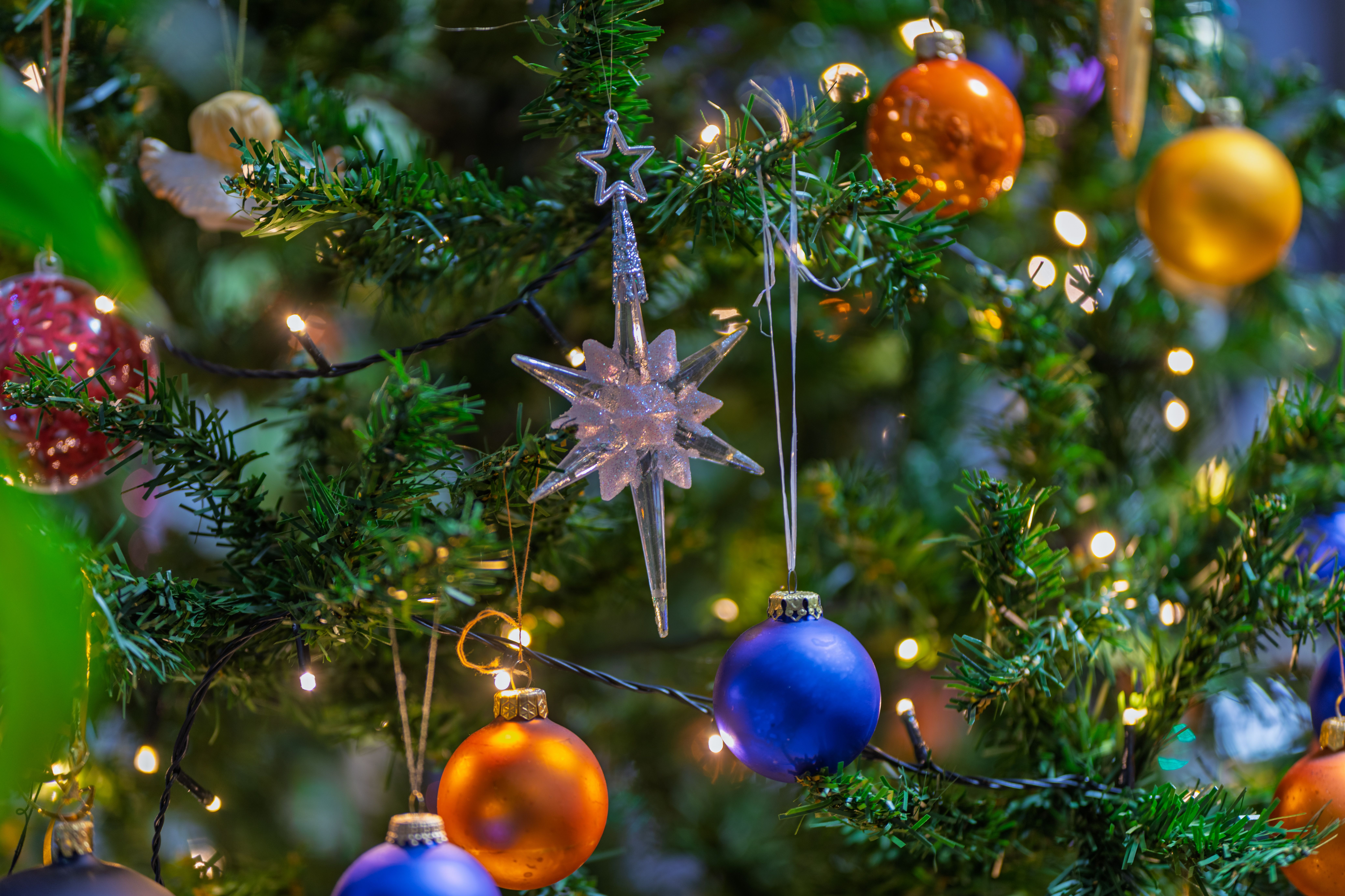 Festive Christmas Tree with Colorful Ornaments · Free Stock Photo