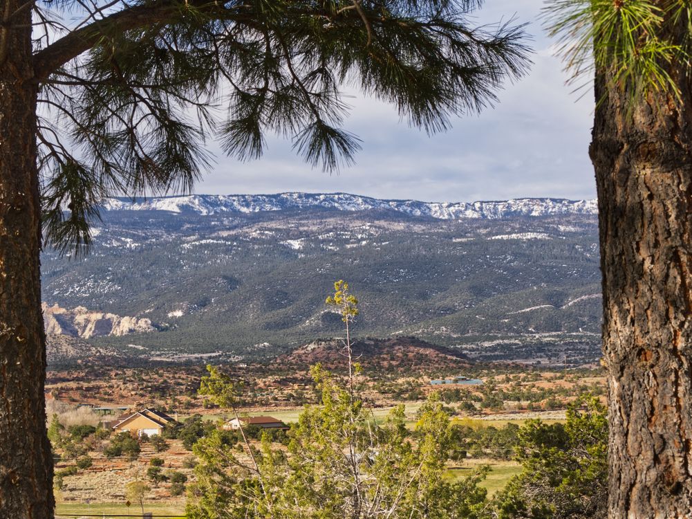 Pine Tree Ranch Scenic Mountain View Through Pine Trees · Free Stock Photo