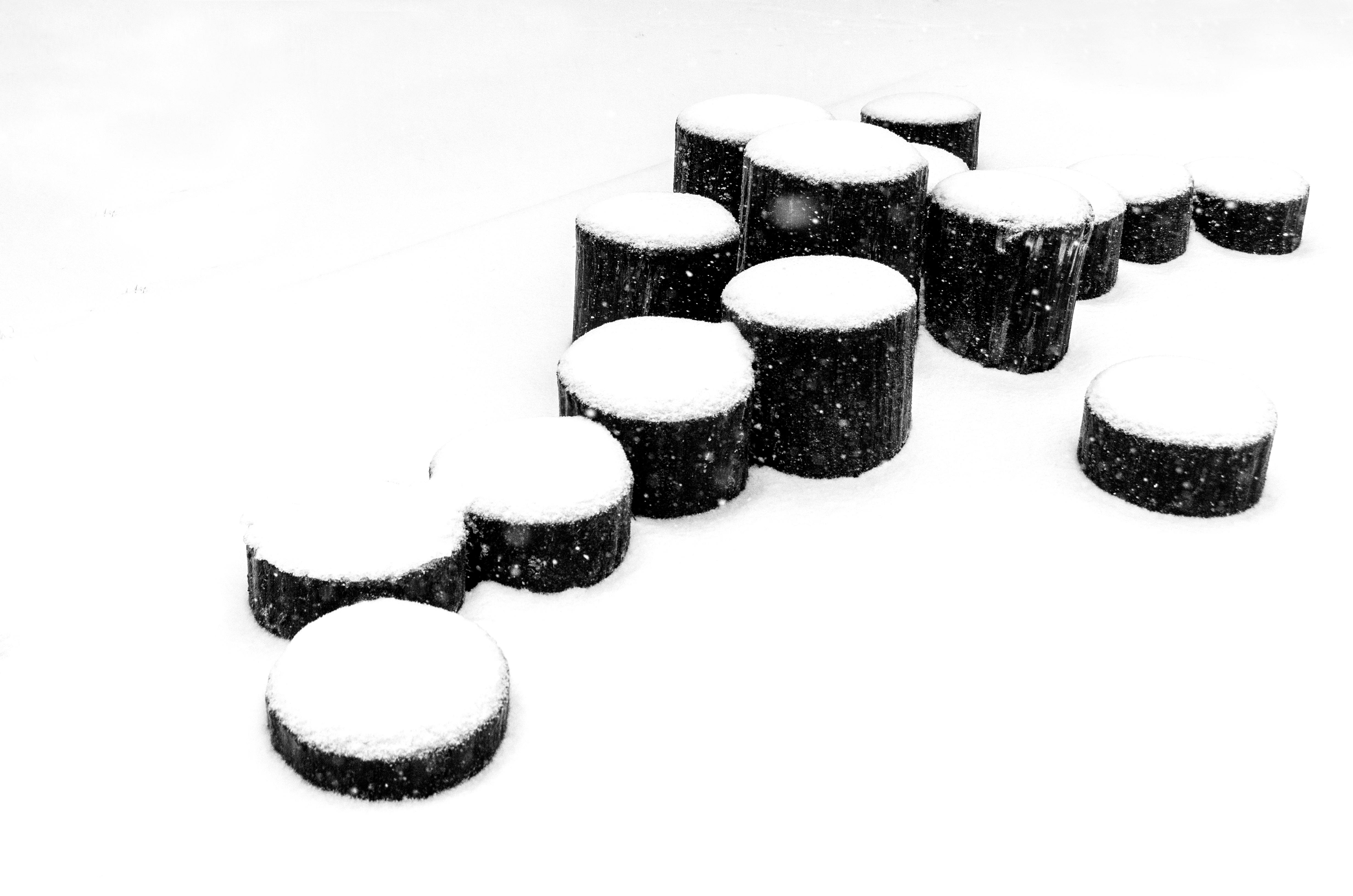 Free Black and white image of snow-covered tree stumps creating a serene winter landscape. Stock Photo