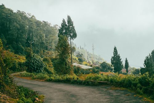 Free A tranquil mountain road winding through dense green forest under a misty sky. Stock Photo