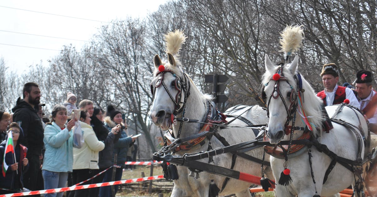 2026馬年來臨!探索生肖馬的國際名人與獨特性格特質